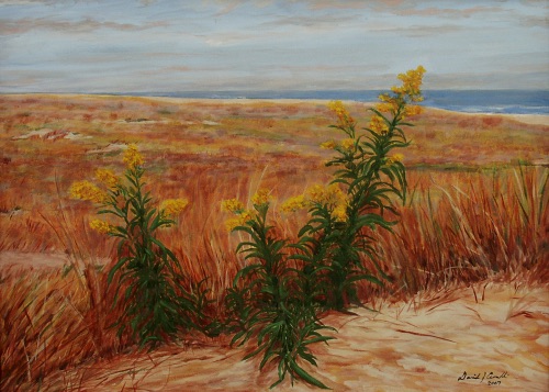 Dunes 8
16" x 20"
acrylic on canvas
©2007